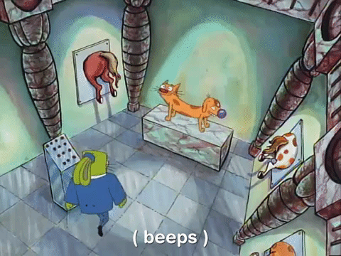 nicksplat GIF