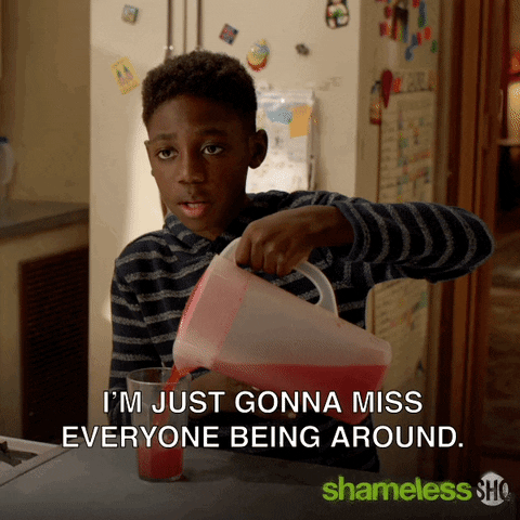 Episode 11 Showtime GIF by Shameless
