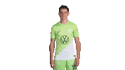 Football Love Sticker by VfL Wolfsburg