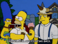 homer simpson GIF