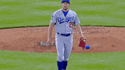 Los Angeles Dodgers Sport GIF by Trevor Bauer