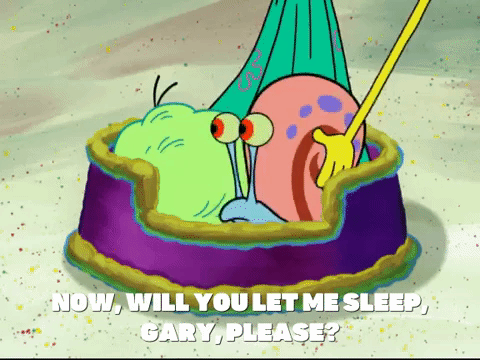 season 7 keep bikini bottom beautiful GIF by SpongeBob SquarePants