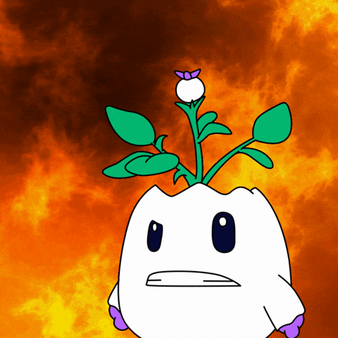 Bring It On No GIF by Magic Eden