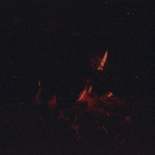 animation art GIF by Liaizon Wakest
