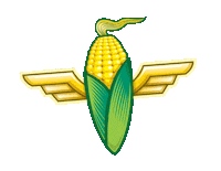 cornfest corn fest cornfest brookshauser dekalbcornfest Sticker