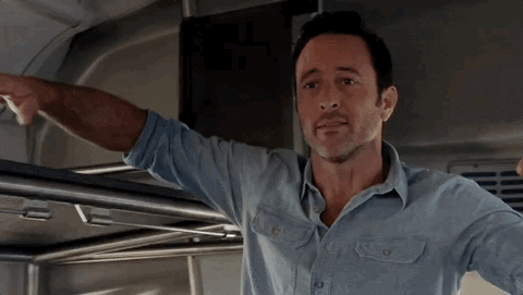 Steve Mcgarrett Eddie GIF by CBS