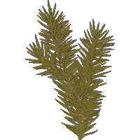 jessnicolehandmade christmas winter tree forest Sticker