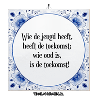 Nl Dromen Sticker by Tegelspreuken.nl