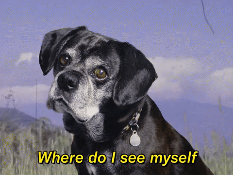 Where Do I See Myself...
