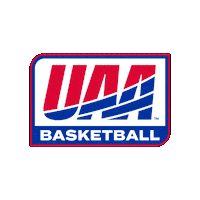 Division Iii Uaa Sticker by uaa_sports