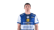 Handball-Bundesliga Sport Sticker by LIQUI MOLY HBL