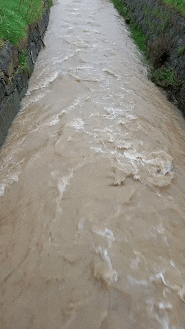 Simongip giphyupload GIF