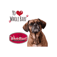 Dog Pets Sticker by WholeBarf