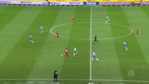 1 Fc Cologne Football GIF by 1. FC Köln