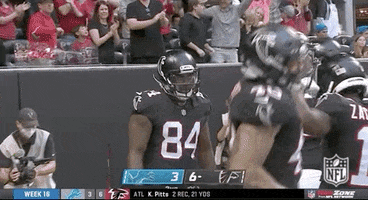 Atlanta Falcons Football GIF by NFL