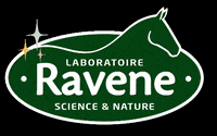 Horse Cheval GIF by Ravene