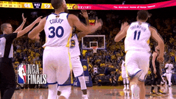 celebrate the finals 2018 GIF by NBA