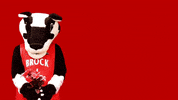 GIF by Brock University