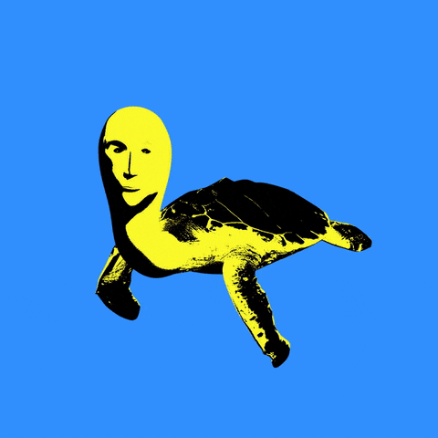 sveneberwein art meme pop turtle GIF