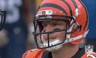 Cincinnati Bengals Football GIF by NFL
