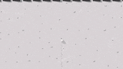 Moon Astronaut GIF by Space Court Foundation
