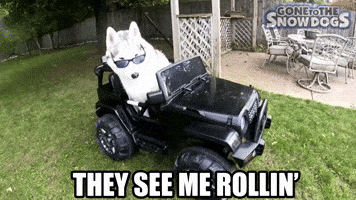 gonetothesnowdogs rolling husky rollin hating GIF