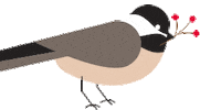 TourismNewBrunswick winter bird canada hiver Sticker