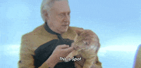 Season 3 Cat GIF by Paramount+