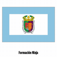 Flag Pixel Art GIF by Formación Ninja