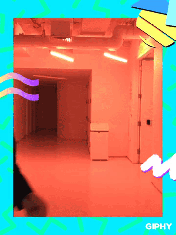 GIF by thegifelevator