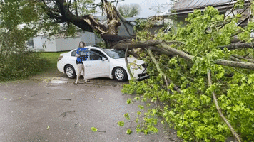 Severe Weather Downs Trees in Kentucky