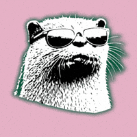 I Am Back Otter GIF