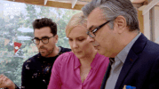 dan levy baking show GIF by CBC