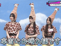 Sakurazaka46 GIF