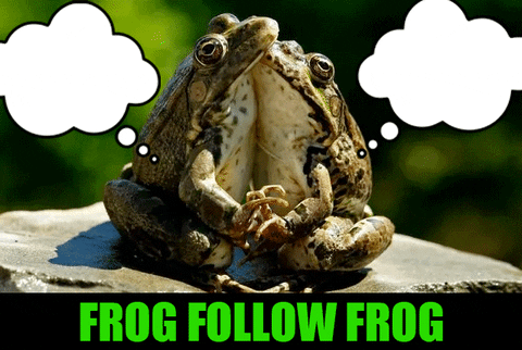 secondrealm giphyupload love man frog GIF