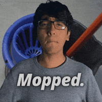 Slang Mop GIF