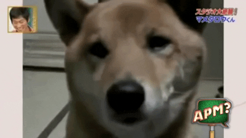Guau Bub GIF by Alguna Pregunta Més?