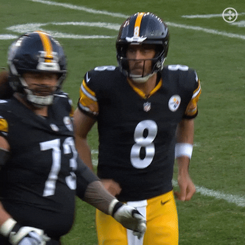 Football Nfl GIF by Pittsburgh Steelers