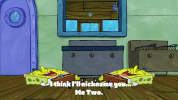 season 9 episode 20 GIF by SpongeBob SquarePants