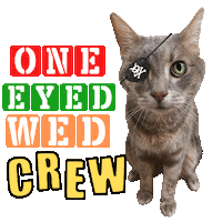 One Eyed Cat Sticker