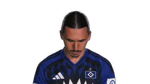 Look Up Hamburger Sv Sticker by Bundesliga