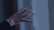 berlin syndrome GIF by eOneFilms