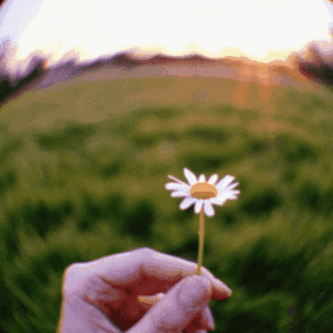 Technical Implementation: Building a Modern Static Blog with Go and Retro Terminal Aesthetics