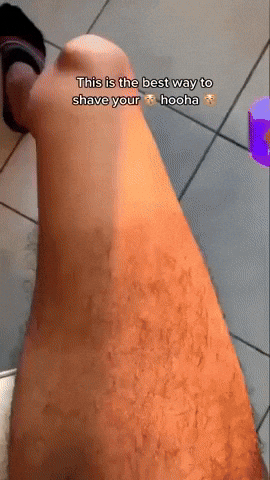 gavi0309 giphyupload GIF