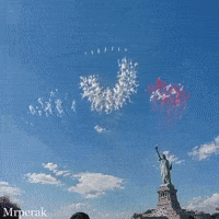 Donald Trump Usa GIF