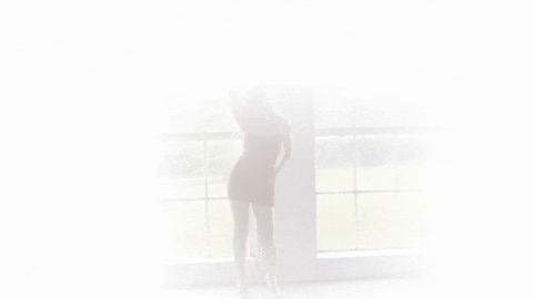 dahliabloomstone giphyupload GIF