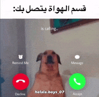 Hb Ultras GIF