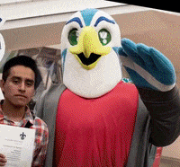 universidadveracruzana amor mexico arte hola GIF