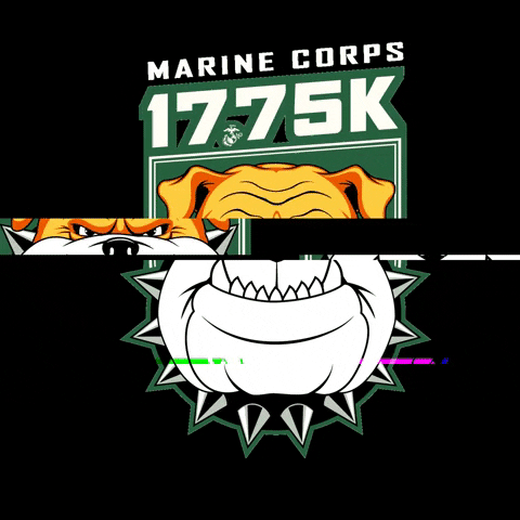 MarineCorpsMarathon giphygifmaker marine corps marathon 1775k run with the marines GIF