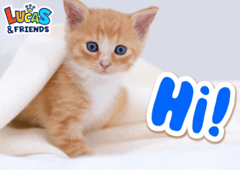 Cat Hello GIF by Lucas and Friends by RV AppStudios